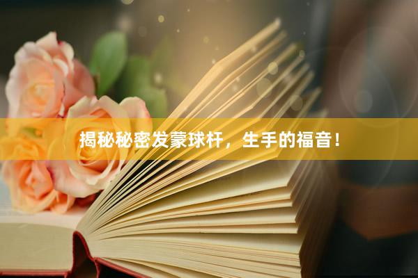 揭秘秘密发蒙球杆，生手的福音！