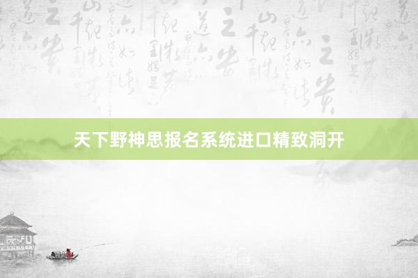 天下野神思报名系统进口精致洞开
