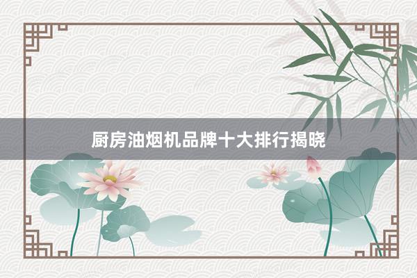 厨房油烟机品牌十大排行揭晓